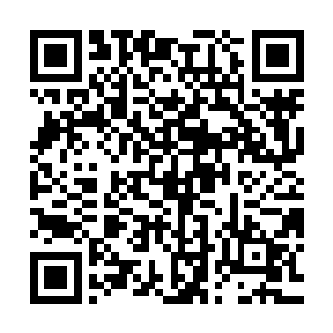 虽然用这样的方法获得法宝的认主一开始多少会有些生疏的感觉二维码生成