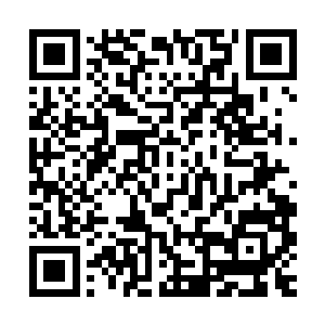 虽然皇太后说了都可以走了但是他们带来的献礼还没献给皇上啊二维码生成