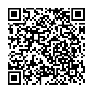 虽然知道这种混合了五种特殊能力的攻击仙术其实对血妖姬没什么用二维码生成