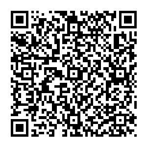 虽然表面上看起来是金星酒店那个招待办主任和黄强的秘书赵清和的决定――但是也并不代表黄强就不知情二维码生成