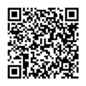 虽然让你用不了内力但是从这下去不用轻功应该也没问题吧二维码生成