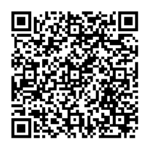 虽然说之前的时候他已经猜到了萧沐晨几个人的修为已经到了一种十分恐怖的境界二维码生成