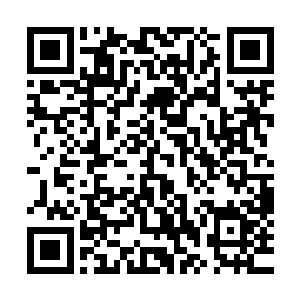 虽然说之前的时候已经感觉到了墨苍的实力已经是今非昔比了二维码生成