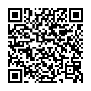 虽然说掌握着数百世界的生杀大权……可那又算得了什么二维码生成