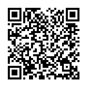 虽然说救包师兄已经有轮回殿殿主提供的另外一种办法二维码生成