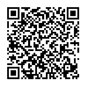 虽然说王世子已经跟新任美国总统伊万·布朗达成了一系列口头协议二维码生成