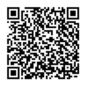 虽然说荣耀至死出现在大家面前已经有半年多时间了――从七月份开始算起二维码生成