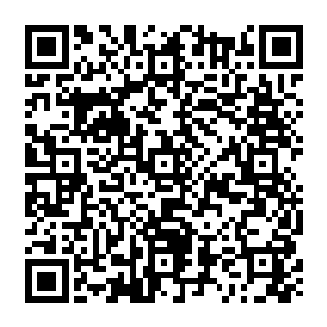 虽然说见到孙振林的下场之后他们已经猜测出了今天的婚礼肯定是没有办法再进行下去了二维码生成
