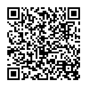 虽然还不能肯定凤凰和麒麟的传承到底是不是被云起舞和南寻风得到了二维码生成