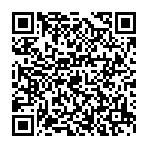 虽然这一次回来的主要目的是为了找毒王商量一下破解r国生化危机的办法二维码生成
