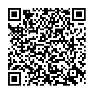 虽然这个手段和之前他见过的陈厚德的攻击手段相比似乎还差了一些威力二维码生成