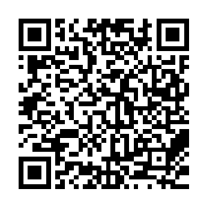 虽然这二十几人的战斗力和刚才一百多只藏獒根本没有可比性二维码生成