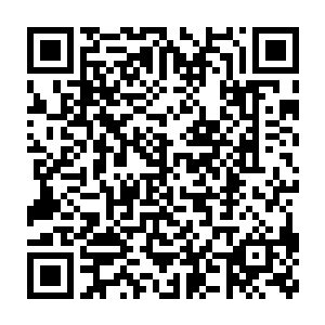 虽然这种灵根因为其它灵根属性的缺失会使修士在很多环境里都很被动二维码生成