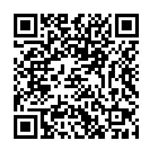 虽然这血色巨蟒和虎形刀芒在作为先锋破开了无数飞剑二维码生成