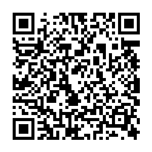 虽然那些巨大的已经是冰乾那种巨大程度的周围让她们并没有任何一点安全感二维码生成