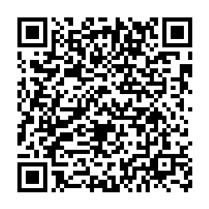 虽然顾青山作为真正的组织部部长也能左右一些干部的推荐和使用二维码生成