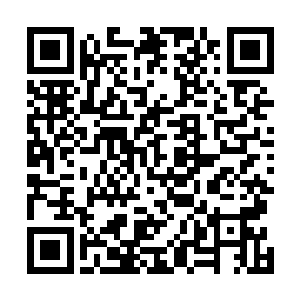 虽然风暮寒之前曾经提到过南王爷可能会派人请他们回去二维码生成