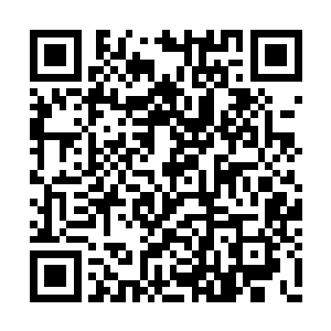 虽精美却显得没有那种自信和大气……您是行家二维码生成