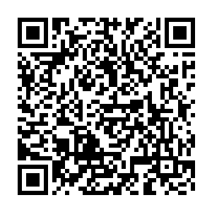 虽说混沌世界的很多实力比起他所在的十大祖瞳大族来说算不得什么二维码生成