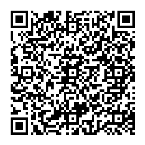 虽说现在至尊不是唯我独尊的存在了但是对于绝大部分的修行者来说还是只能仰望无法触及的存在二维码生成