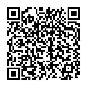 虽说西浅在吃到这一波数额不菲的团队经济以后回家总算是有了无尽和攻速鞋二维码生成