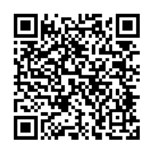 虽说这样的规模比不上当初在沙漠的时候蓝宝石率领的虫潮二维码生成