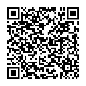 虽说这种诡异的进阶办法也不是不可以……但是这样诞生的瘟疫使者二维码生成