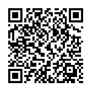 虽说韩守信和韩守珍因为母亲的遗言不肯留下来也跟着去了二维码生成