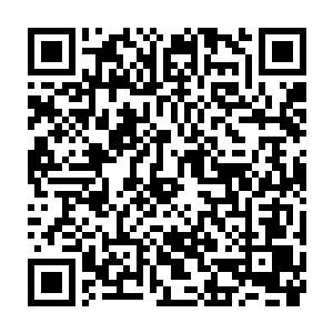 蚊血煞这释放的万灵污血之中至少凝聚了千万人类的负面情绪和污血力量二维码生成