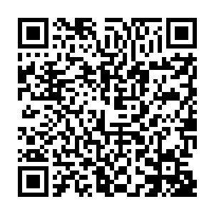 蛇形海兽这一次是真正感觉到死亡的降临了……海神三叉戟那恐怖绝伦的力量二维码生成