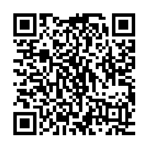 蛇胆没想到这位在木城过得像隐形人的大公主会在这时给他拆台二维码生成