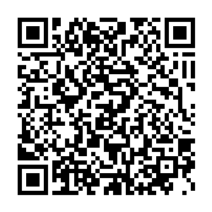 蛟龙的尾巴带着无比强大的力量狠狠的抽打在剑尘刚刚所站的位置二维码生成