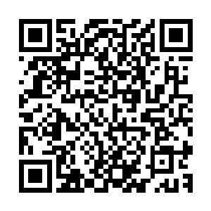 蛮乱之地已经聚集了数百万的巫咸门内外门弟子和他们的家属二维码生成