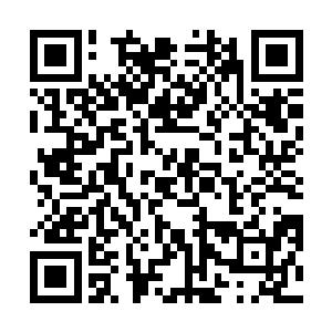 蛮荒爪龙的移动轨迹和爪子的轨迹也呈现在楚暮的眼中二维码生成