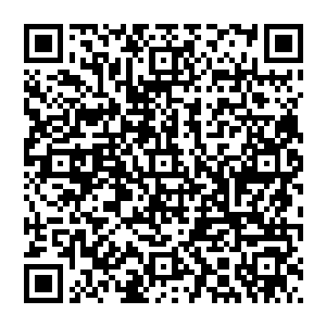 蜂巢式飞剑发射器以及各种破坏性玄光激发符阵……各种现实世界中绝对组合不到一起的攻击性法宝二维码生成