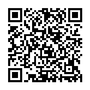 融会贯通在一起的气息形成的域轻柔的包裹住了整个胎种二维码生成
