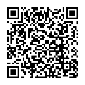 蠡泽新区管委会这个班子的表现受到了省委省政府的一致高度评价二维码生成