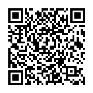 蠢蠢欲动的想去戳一戳妮娜微微有些隆起的毛茸茸的小肚子二维码生成