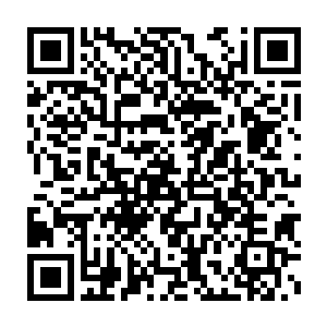 血契盒子有着黑暗议会各种族当初的族长用自己的精血结下的一份契约二维码生成