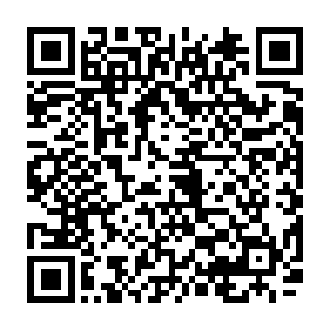 血妖姬们只看着冰乾那不停变幻的神色揣测着世界树枝桠是在与他交流什么二维码生成