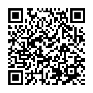 血妖的这能力演示的就非常简单了――他的整只手臂都蠕动起来二维码生成