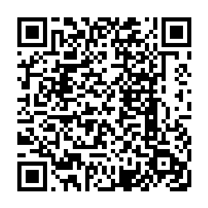 血姬冷剩下的半截身影完全破碎变成血色细密本源符文涌进了血幽紫怀里二维码生成