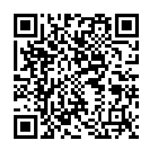 血幽紫在最后一次确定了流墨墨之前说的情况没有出现后二维码生成