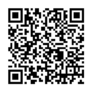 血幽紫看着流墨墨立即动手准备去翻看颜洛儿的记忆二维码生成