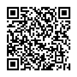 血幽紫那不解的痛呼着横飞了出去的惨状让众宠全都刹住车二维码生成
