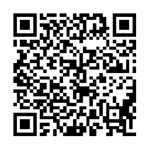 血液在身体里的流动仿佛掀起了排山倒海的浪潮二维码生成