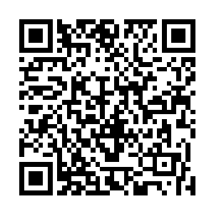 血潜石只有在遇到自己无法检测到的血脉时才会出现问题二维码生成