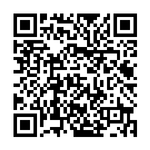 血神表现出来的恐怖的实力显然是令他们彻底的恐惧了二维码生成