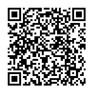 血翼方面除了血翼和开始的那几个组长回到了基地之外其余的人都没有变动二维码生成