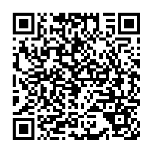 血色电虎的速度几乎快到了一个就连楚旬动态视觉也无法把握的地步二维码生成